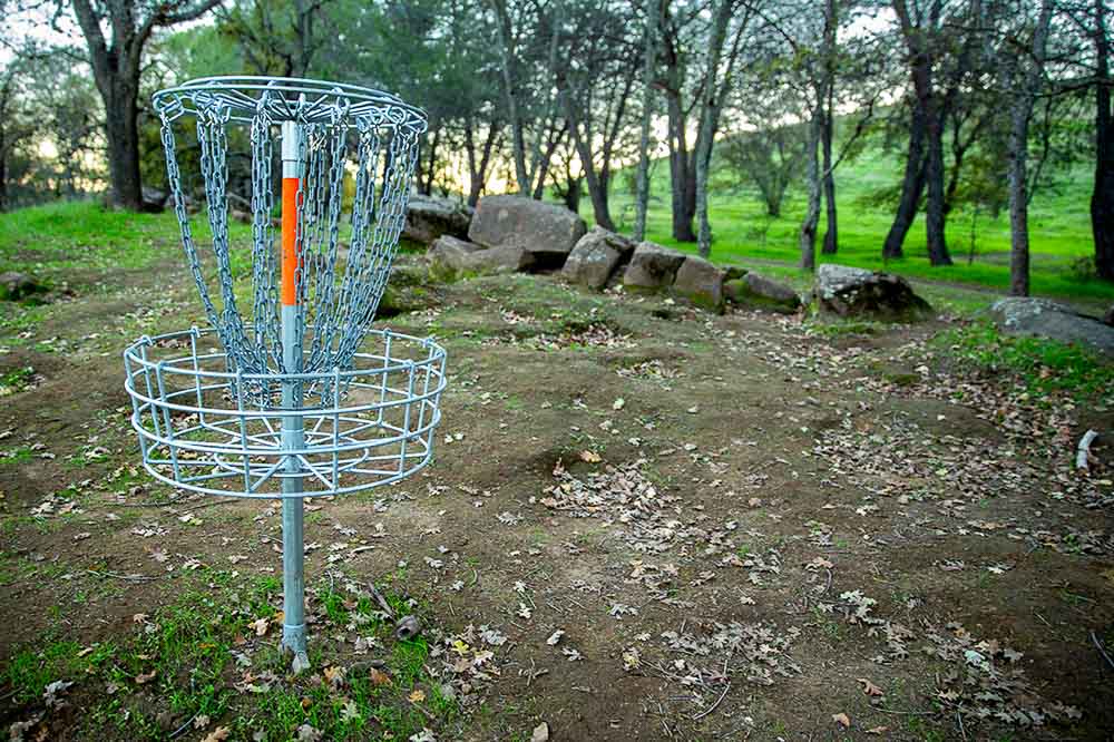 Disc Golf Tournament Rules and Basket on Course